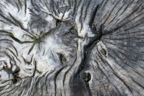 Textura de madera vieja — Foto de Stock