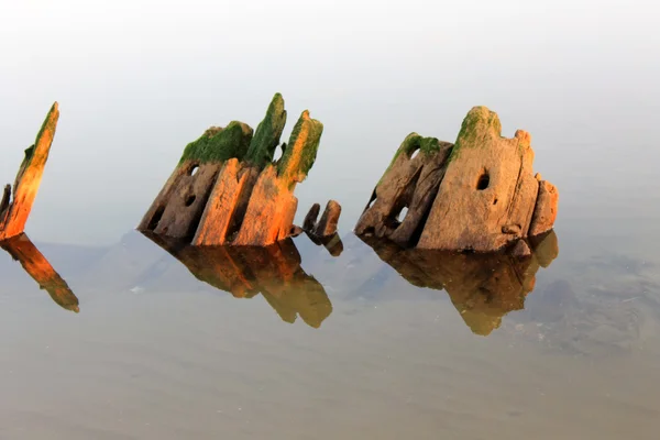 Very old pieces of wood in water — Stock fotografie