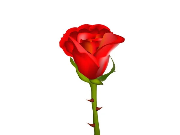 Τριαντάφυλλο Απομονωθεί Λευκό Φόντο — Διανυσματικό Αρχείο