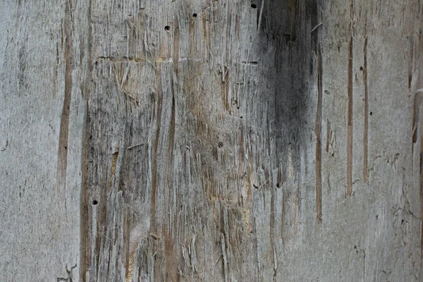 Brown wooden background — Stock Photo, Image