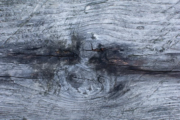 Fondo de madera gris — Foto de Stock