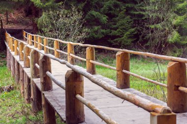 tarafından bir çam ormanı içinde bir çit çit ahşap köprü
