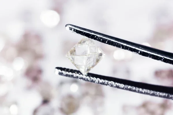 Přírodní diamant transparentní v pinzety — Stock fotografie