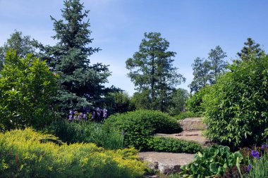 ağaçlar, çalılar ve taşlar ile yeşil bahçe 