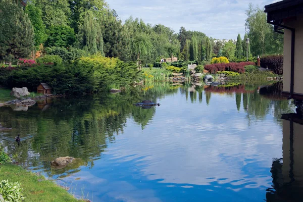 A lake in the middle of a green garden and a forest — Stock Photo, Image