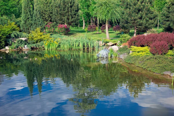 A lake in the middle of a green garden and a forest — Stock Photo, Image