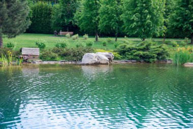 Bir gölün ortasında yeşil bir bahçe ve bir orman