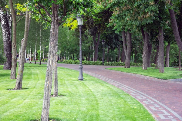 Park, yeşil bir manzara patika ile çevrili — Stok fotoğraf