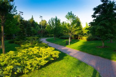 park, yeşil bir manzara patika ve ağaçları ile çevrili