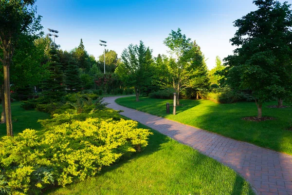 Park, yeşil bir manzara patika ve ağaçları ile çevrili — Stok fotoğraf