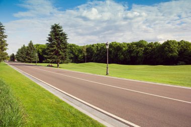 Yeşil çimen, bir yol, bir orman ve mavi gökyüzü ile Park