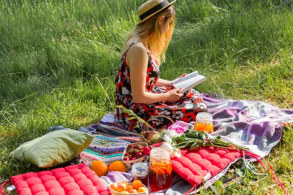 Kız bir piknik üzerinde kitap okur