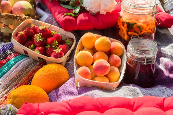 Πικνίκ στην υπαίθρια με φράουλα, βερίκοκα, πορτοκάλια, μήλα — Φωτογραφία Αρχείου