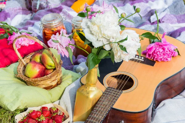 Gitar, elma, çilek, içecekler ile açık piknik