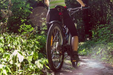 Bisikletçi bir ormanda