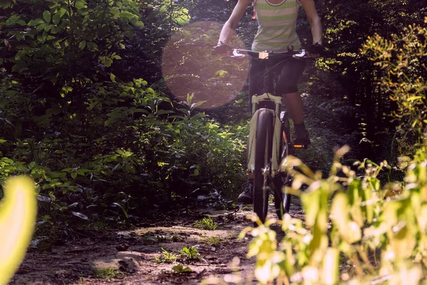 Bisikletçi bir ormanda