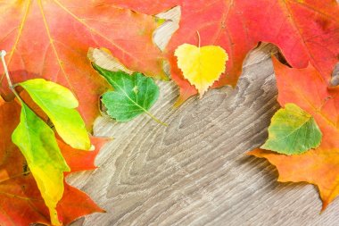 ahşap arka plan sonbahar yaprakları