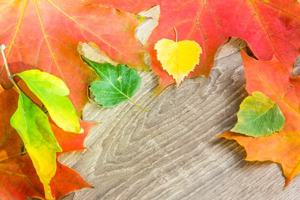 ahşap arka plan sonbahar yaprakları