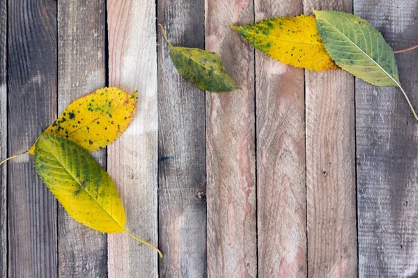 Hintergrund aus Herbstblättern auf dem Holz — Stockfoto