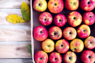 Bir kutuda kırmızı elmalar