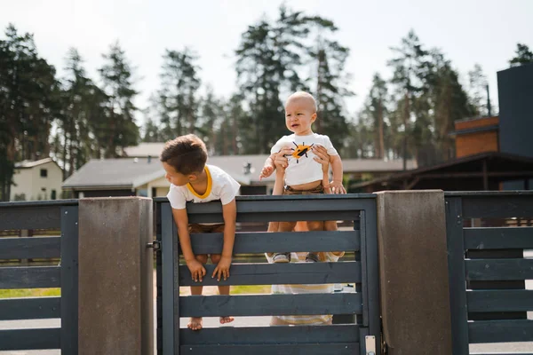 Jonge moeder spelen en plezier hebben met haar zoontje broertjes in een groene tuin met auto 's - Familie waarden warme kleur zomer scene - Oost Europa Letland Riga — Stockfoto