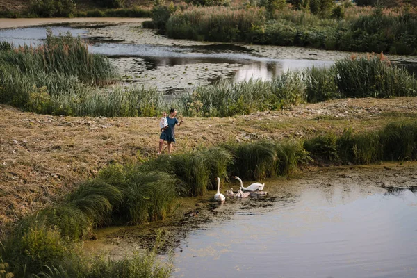 Joven madre con su hija bebé alimentación cisne y patitos en un estanque verde parque con vestido de puntos - Valores de la familia escena de verano de color cálido — Foto de Stock
