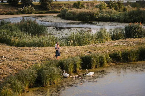 Joven madre con su hija bebé alimentación cisne y patitos en un estanque verde parque con vestido de puntos - Valores de la familia escena de verano de color cálido — Foto de Stock
