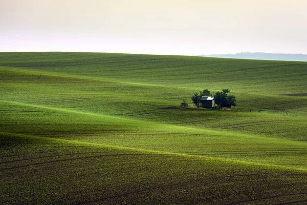Moravia meridionale paesaggio — Foto Stock