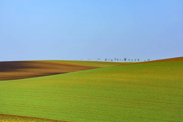 Minimalne krajobrazu południowych Moraw — Zdjęcie stockowe