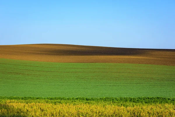 Минимальный ландшафт Южной Моравии — стоковое фото