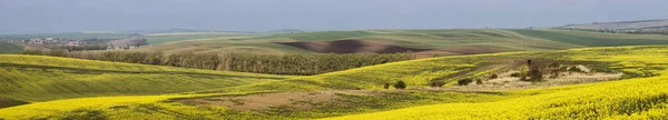 Panoramic view of South Moravia fields