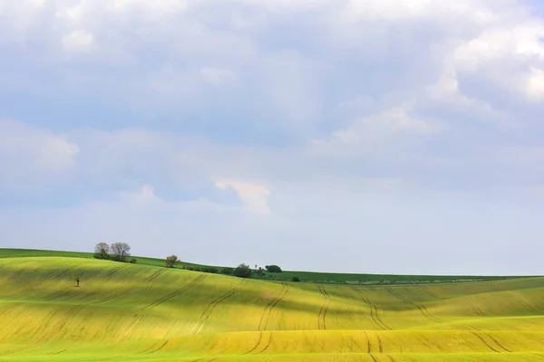 Morgenwolken über mährischen welligen Hügeln — Stockfoto