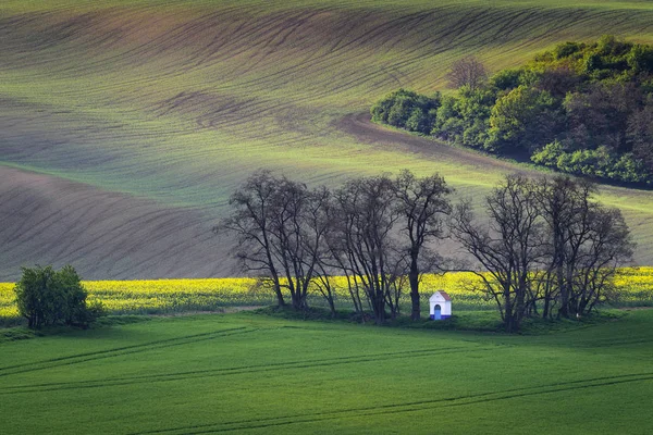 Die Kapelle des hl. Barbara, Südmähren — Stockfoto