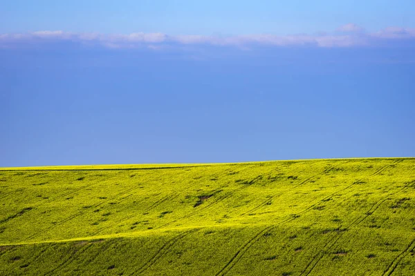Минимальный ландшафт Моравийских полей — стоковое фото