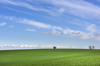 Bulutlu mavi gökyüzü ile dalgalı yeşil alan 