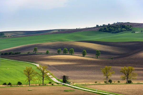 Südmähren Landschaft mit welligen Feldern — Stockfoto