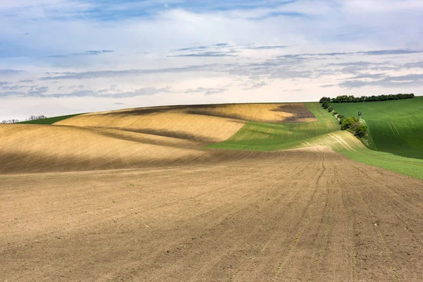 Terra de agricultura recém-semeada com prados ondulados — Fotografia de Stock