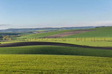 Dalgalı meadows manzara bahar
