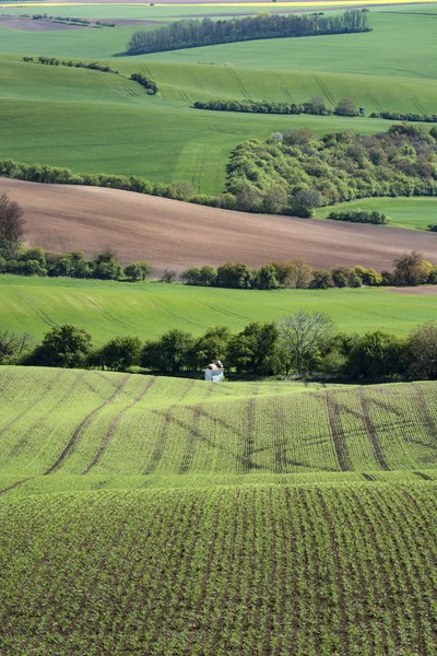 Frühling Südmähren Landschaft — Stockfoto