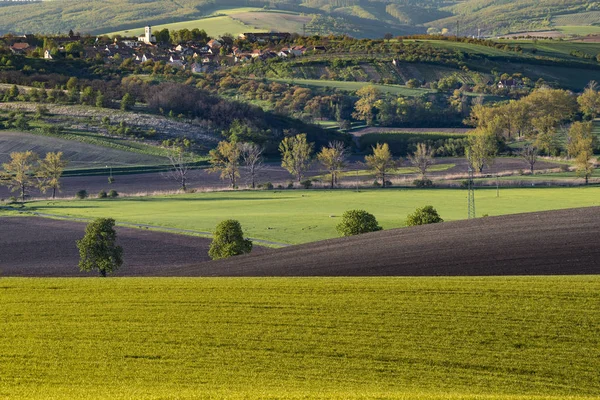 Golvende weiden lente landschap — Stockfoto