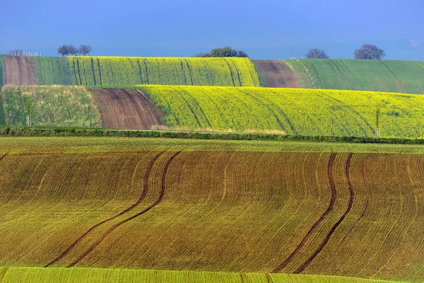 Bunte wellige Hügel in Südmähren — Stockfoto