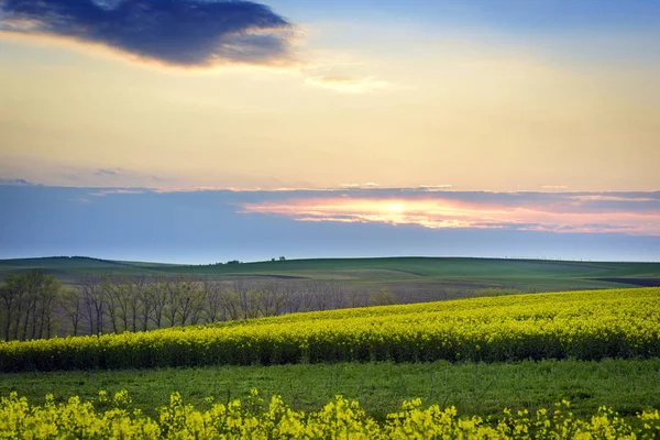 Zuid-Moravië landschap tijdens zonsondergang — Stockfoto