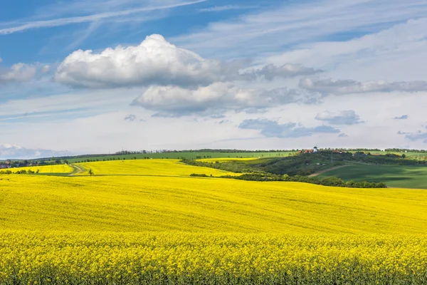 Golvende weiden lente landschap in Zuid-Moravië — Stockfoto