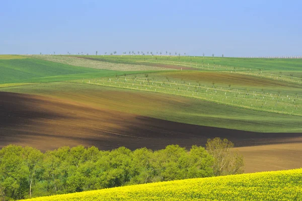 Morávia manhã paisagem mínima — Fotografia de Stock