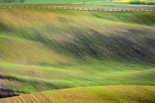 Faliste wzgórza w czasie wiosny Kraj południowomorawski — Zdjęcie stockowe