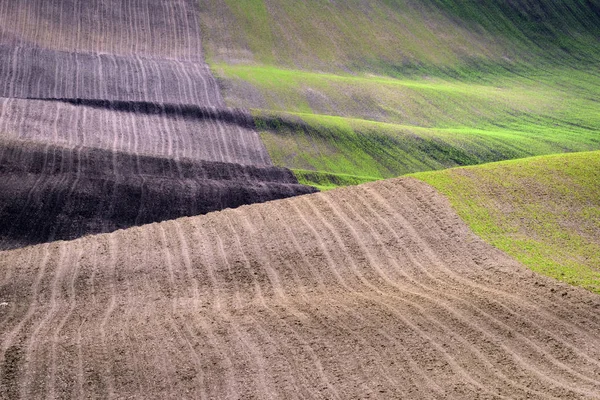 Vågformade kullar under våren i South Moravia — Stockfoto