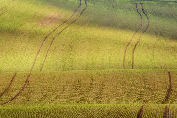 Moravia primavera rotolamento Paesaggio — Foto Stock