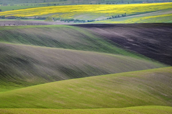 Wellige Hügel im Frühling in Südmähren — Stockfoto