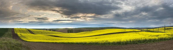 Panorama der bewölkten welligen mährischen Landschaft — Stockfoto