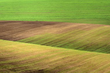 Yeşil alanlar ile dalgalı soyut manzara